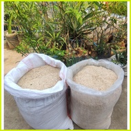 ◳ ❂ ✌ Fine Saw Dust Kusot 1 KG for Alternative for Cat Litter / Plant Substrate