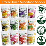 Organic Freeze Dried Superfood Snack - Apple Strawberry Blueberry Peach Pineapple Mango Yogurt Duria