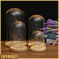 [Lovoski1] Glass Hemisphere Cloche Cabochon With Cork 10x25cm