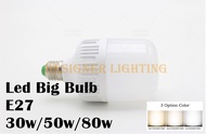 High Bay Bulb 30w/50w/80w Led Bulb E27 Holder Led Globe Bulb Daylight and Warm White Mentol LED (WD-