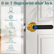 Fingerprint Lock 6 in 1Tuya Smart Door Lock Remote Unlock Fingerprint Handle Lock HDB Password Door 