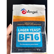 Swiss Classic Lager Beer Yeast BF16
