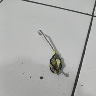 Axioo Neo C4801 MNW flexible webcam cable