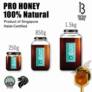 [SG] Pro Honey / 100% Natural Honey / Pure Honey Organic Honey Raw Honey / Manuka Honey