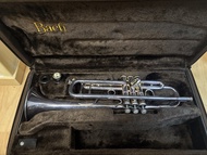 Bach Stradivarius Model 37 小號