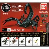 Red Claw Scorpion Gashapon Tanzanian Clawed-Bandai Dango Mushi King