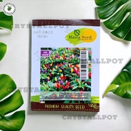 Bolivian Rainbow Sweet Paper Haira Seed - BOLivian Rainbow Chili Seeds