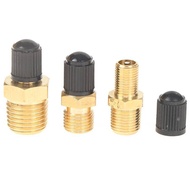 newwellknownskyhq Automobile Tire Valve Core Tire Valve Tire Pressure Monitoring 1/4 1/8 NPT Valve C