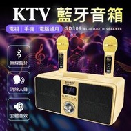 【行動KTV！消除人聲】 SD309 KTV藍牙音箱 雙人無線KTV 卡拉OK 音響喇叭 藍牙喇叭 音響  拍