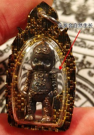 泰国董里府 Wat Nai Tao 寺庙，阿赞帕素（Arjan Prasoot）大师督造的 “九吉祥娃娃魂魄勇”（Hoon Pa Yon Maha MongKol 9）古老南疆秘籍法门督造开光。