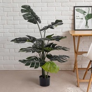 Meric Garden 北歐落地龜背芋居家綠植裝飾/盆栽_附藤編籃