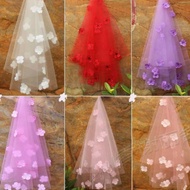 Bridal veil/Bridal veil/Wedding veil