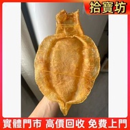 収 墨西哥金錢鳘魚膠，花膠，魚膠，魚肚，老花膠，陳年花膠，鳘魚膠，北海母，金錢膠，台山赤嘴，湛江赤嘴，紅雞赤嘴，陽江赤嘴，北海膠，竹葉膠，鴨俐膠，石肚，房膠，蜘蛛膠，白花膠，花膠筒，筒膠，海參，北海道