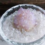 Cactus Amethyst 南非產地 仙人掌紫水晶 天然礦石 原礦