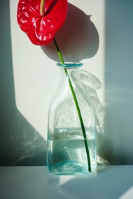 法國La Soufflerie玻璃瓶/玻璃/花瓶/花樽