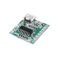 20pcs PAM8403 DC 5V Mini Class D 2x3W USB Power Amplifier Board DIY