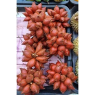 1kg Buah Salak Siam / 1kg Snake Fruit