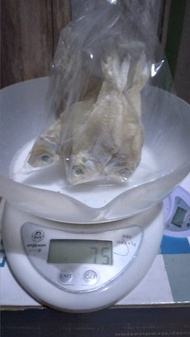 Ikan Asin Kapasan 1kg (COD) bayar ditempat