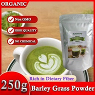 High Quality Barley Grass Extract Barley Grass Juice Powder Barley Grass Powder