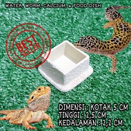 Water dish BOX feeding dish food worm calcium dish bowl Water bowl drinking Water container calcium 