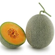 PREMIUM Bibit Unggul Melon Golden Aroma F1 | Benih Melon Golden Aroma