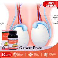 Obat Buah Zakar Bengkak Obat Buah Zakar Panjang Sebelah Obat Hernia Obat Turun Berok Obat Hidrokel O