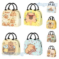 capybara  lunchbox for kids AA1