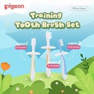 Pigeon Baby Training Toothbrush Lesson 1 2 3 / Baby Milk Toothbrush 6 months / months