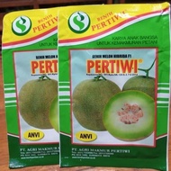 Benih Tanaman Melon Pertiwi ANVI 600 biji Bibit Tumbuhan Buah Hibrida