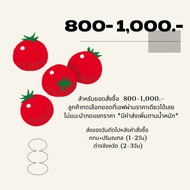 (Live) 800-1 000.- ︎ Total f