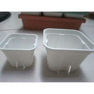 [Coastal Town] Taiwan-Made No. 3, 4 Square Root Control Basin Succulent Cute Club