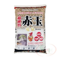 Nền Akadama Super Hard Soil đất nung giá thể trồng cây thủy sinh bán cạn tiểu cảnh tép màu