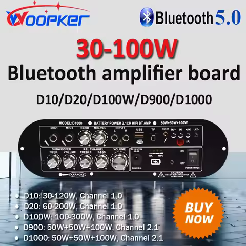 WOOPKER 100W HiFi Bluetooth Amplifier Board D1000/D900/D100W/D20/D10 Bluetooth 5.0 Dual Microphone U