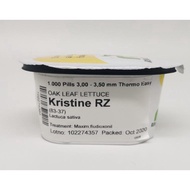 LETTUCE KRISTINE RZ THERMO PILL 1000 PILLS PELLETTED SEEDS BY RIJK ZWAAN