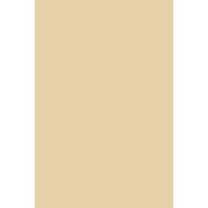TACO Laminate HPL Solid Gloss - TH 030 G Desert Beige Per 1 Sheet Size 122cm x 244cm