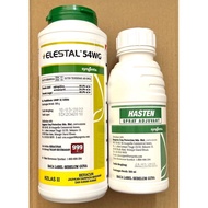 Elestal 54WG + Spray Adjuvant Hasten [Syngenta] [Spiropidion 30% + Acetamiprid 24%] [300GM]