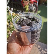 Homemade Blackout Cookies