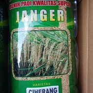 Benih padi ciherang janger