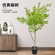 Artificial Elm Tree Room Decoration Landscaping Indoor and Outdoor Scene Decoration Artificial Fake 