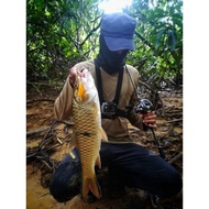 savior 50s Gewang sebarau black banded mamba x