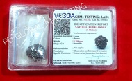 Nepal 5 Face Rudraksha with Cert