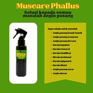 Muscare Phallus angin pasang surut hernia. Sapu sahaja