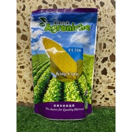 Benih Jagung Manis/Sweet Corn AG Seeds F1 316 (500gm) KING CORN