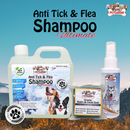 PetsaroO dog shampoo and conditioner with madre de cacao dog fur cleaner shield against virus anti p