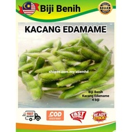 Kacang Edamame/Kacang Bulu **4 biji benih/seeds