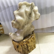 Yellow wood grain stone tree 52 cm tall, weighing 27 kg cm for people with natural Metal and Earth e