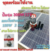 ปั๊มน้ำโซล่าเซลล์พร้อมแผงโซล่าเซลล์ 150W  จำนวน 2 แผง ปั๊มจุ่ม 300W 12V สายไฟยาว 6 เมตร แถมฟรีสายขนา