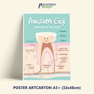Poster Kesehatan Anatomi Gigi Anak