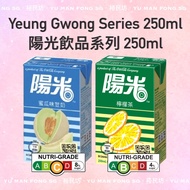 Yeung Gwong HI-C Lemon Tea / Melon Soya Milk 250ml 陽光檸檬茶/蜜瓜豆奶 250ml [Made in HK]