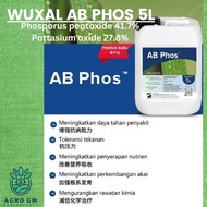 Wuxal AB Phos 5L Phosporus pentoxide Pottasium oxide Baja meningkat daya tahan penyakit pokok